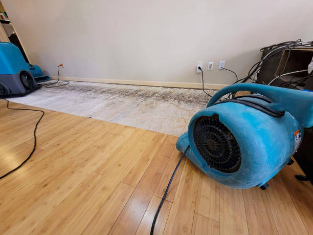 Professional Sewage Cleanup technician working in Scranton, PA